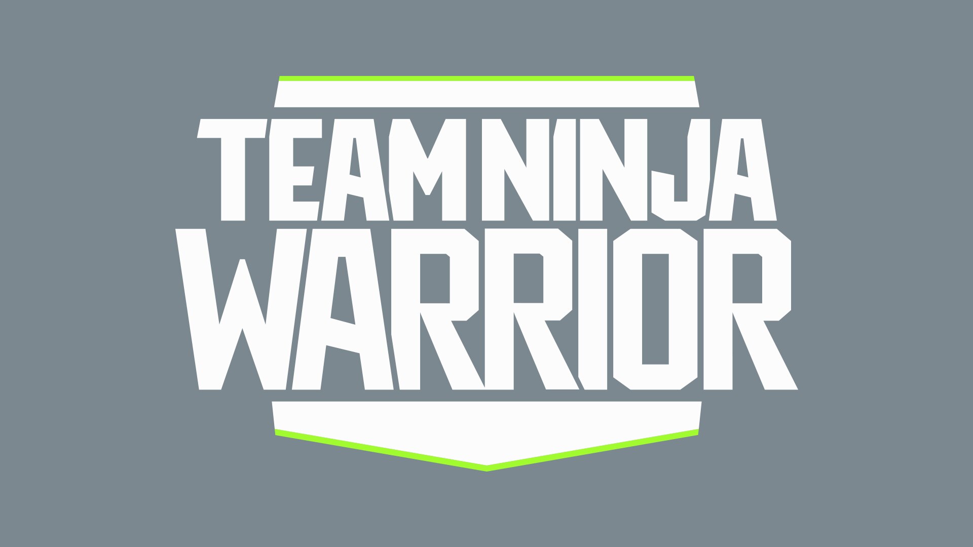 Team Ninja Warrior