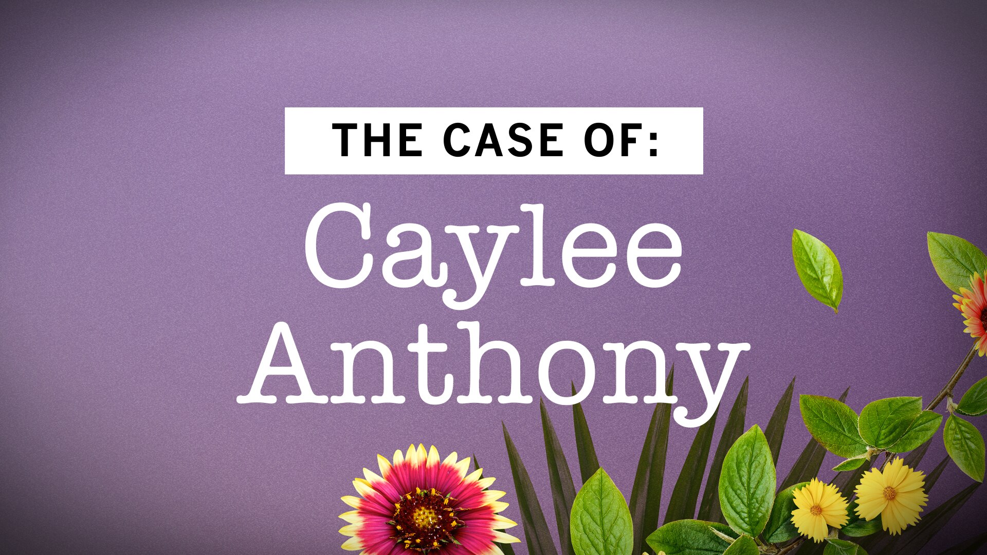 The Case of: Caylee Anthony - USANetwork.com