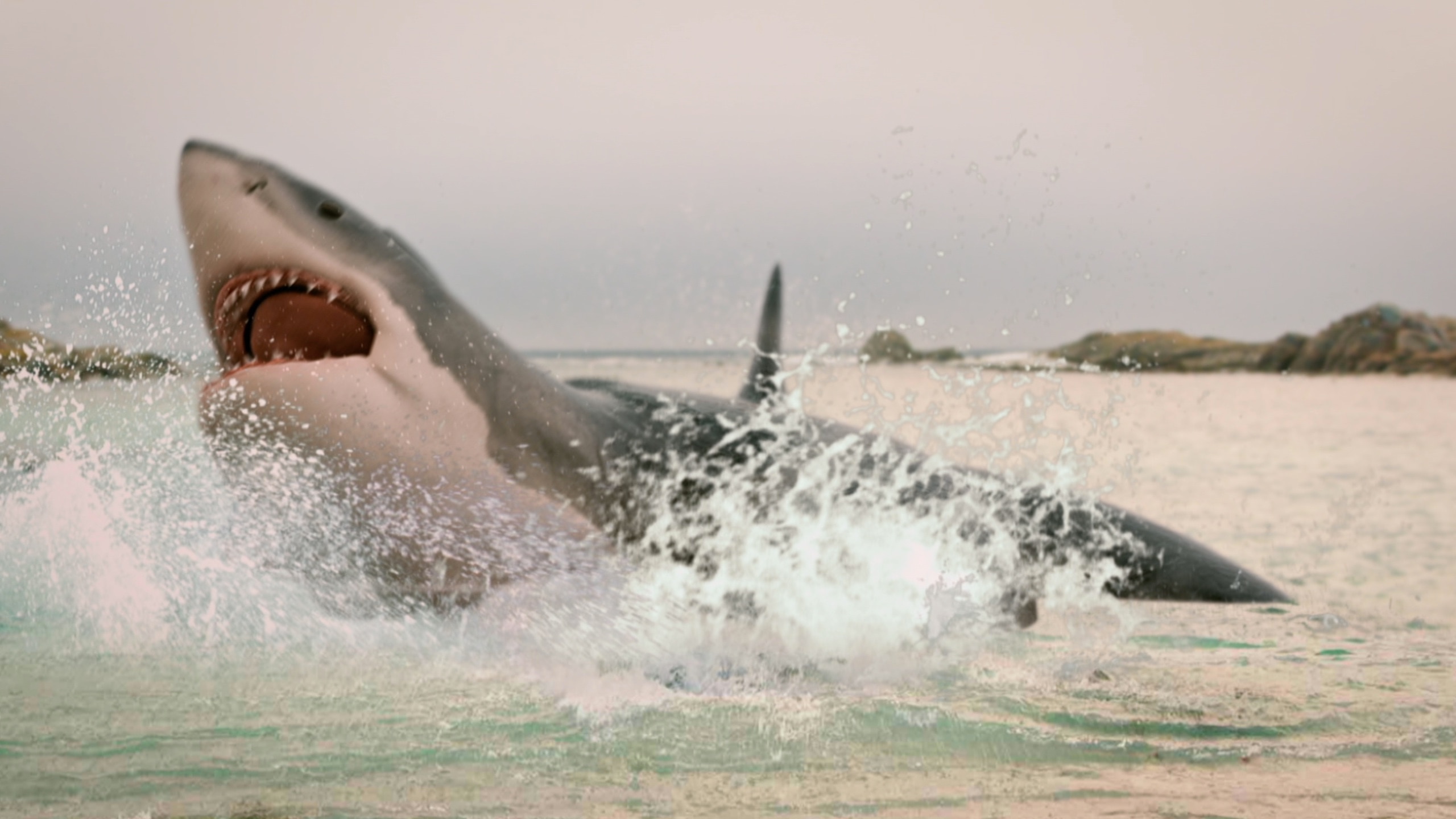 Нападение шестиглавой. Нападение шестиглавой акулы (2018) 6-headed Shark Attack. МЕГАЛОДОН.